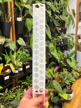 Stackable Plant Support Pole - Clear - Ed's Plant Shop