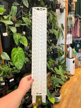 Stackable Plant Support Pole - Clear - Ed's Plant Shop