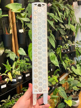 Stackable Plant Support Pole - Clear - Ed's Plant Shop