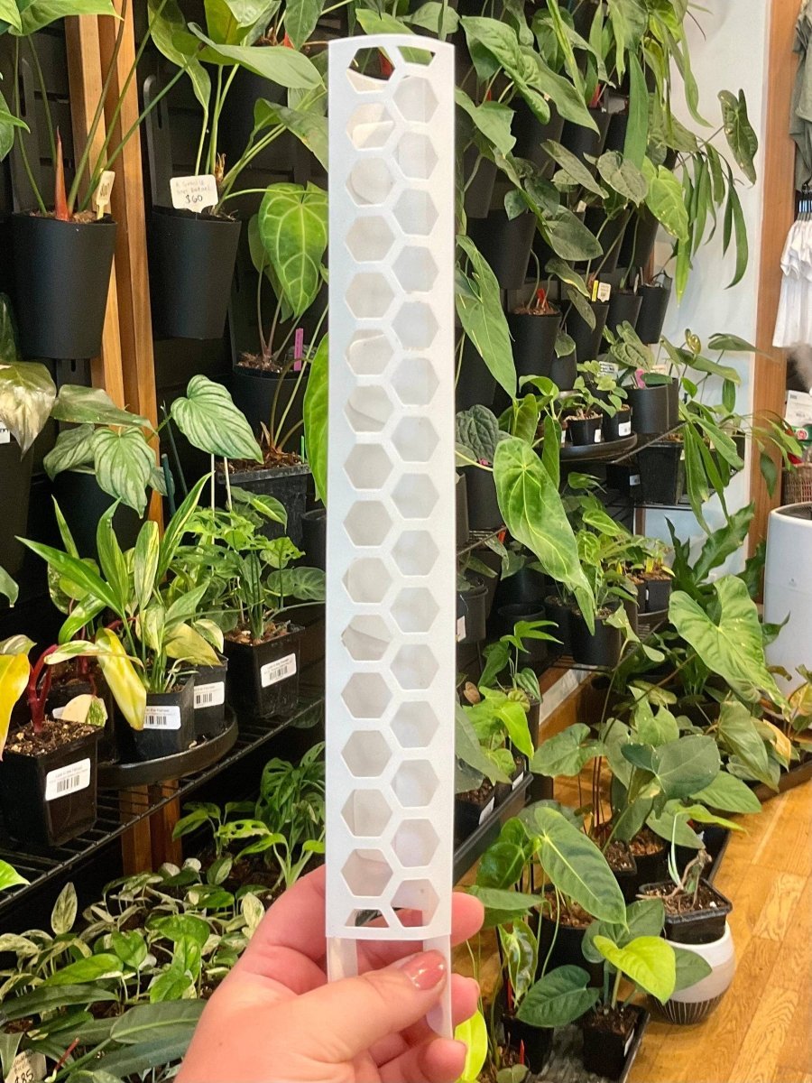 Stackable Plant Support Pole - White - Ed's Plant Shop