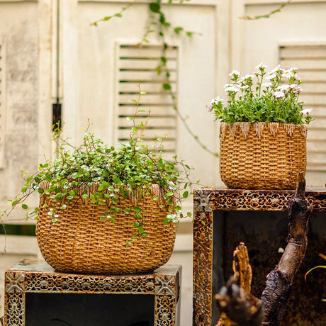 Straw Basket Cement Planter - Various Sizes - Ed's Plant Shop