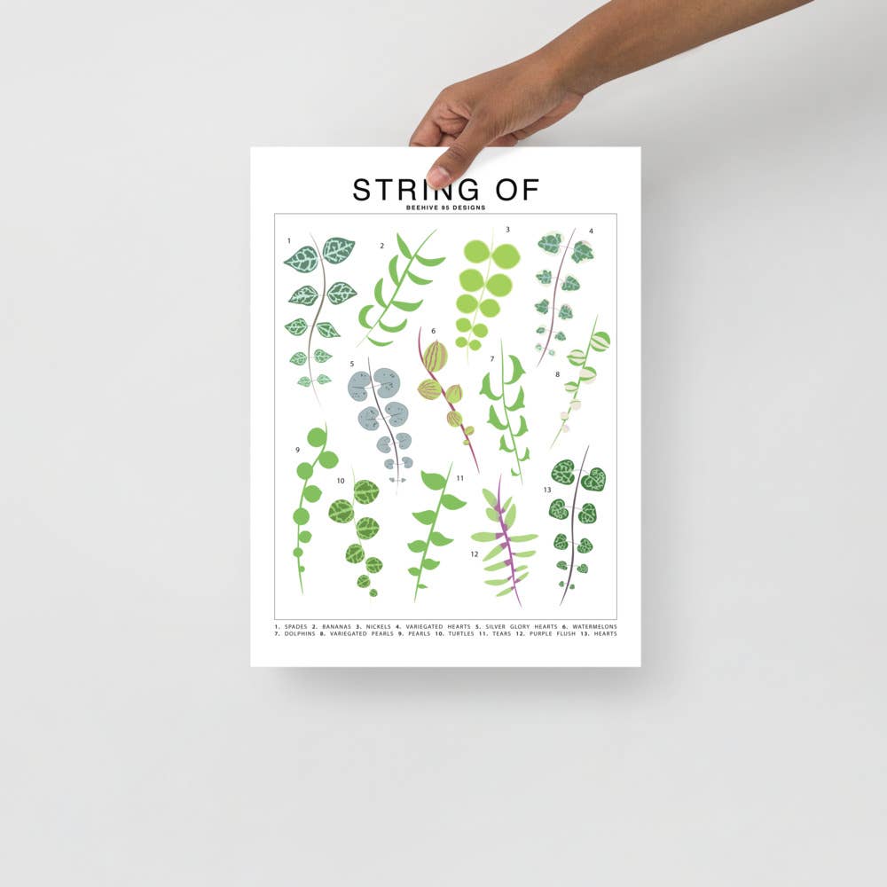 String Of Species ID Chart - Botanical Houseplant Art Print - Ed's Plant Shop