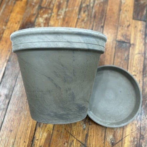 Terra Cotta Pot with Saucer-Basalt Delivery/ In Store Only - Ed's Plant Shop