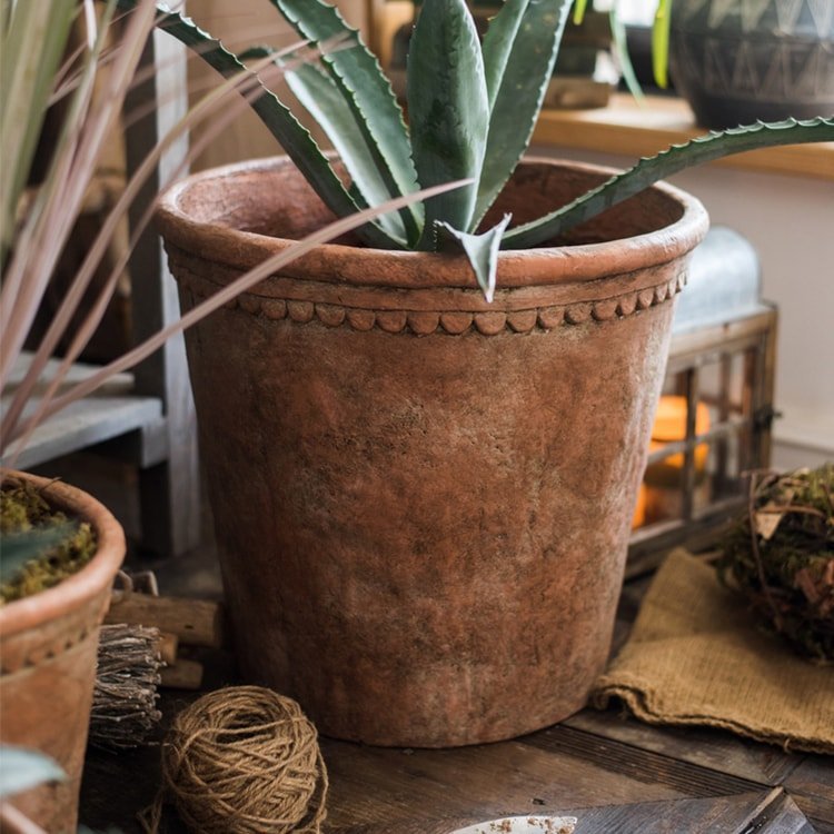 Terracotta & Concrete Planter Pot - Ed's Plant Shop