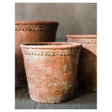 Terracotta & Concrete Planter Pot - Ed's Plant Shop