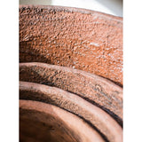 Terracotta & Concrete Planter Pot - Ed's Plant Shop