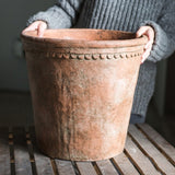 Terracotta & Concrete Planter Pot - Ed's Plant Shop