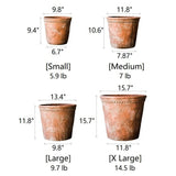 Terracotta & Concrete Planter Pot - Ed's Plant Shop