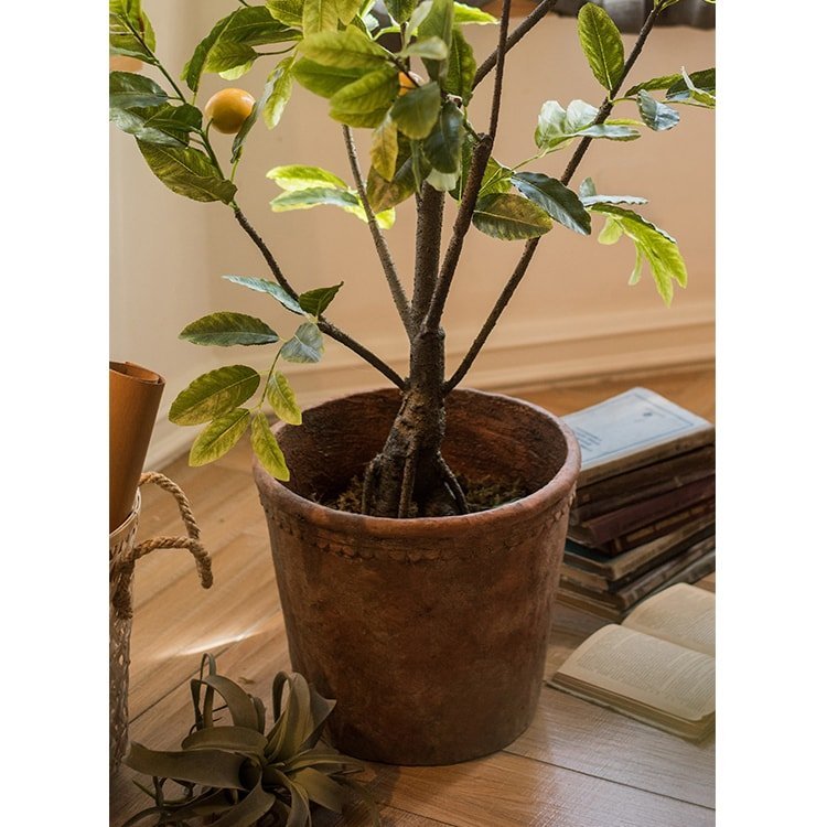 Terracotta & Concrete Planter Pot - Ed's Plant Shop