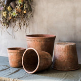 Terracotta & Concrete Planter Pot - Ed's Plant Shop