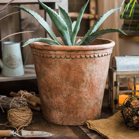 Terracotta & Concrete Planter Pot - Ed's Plant Shop