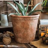 Terracotta & Concrete Planter Pot *Online Only* - Ed's Plant Shop