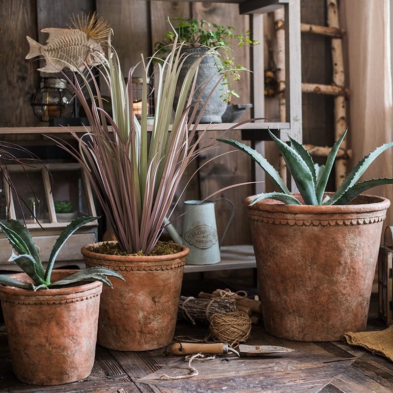 Terracotta & Concrete Planter Pot *Online Only* - Ed's Plant Shop