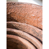 Terracotta & Concrete Planter Pot *Online Only* - Ed's Plant Shop