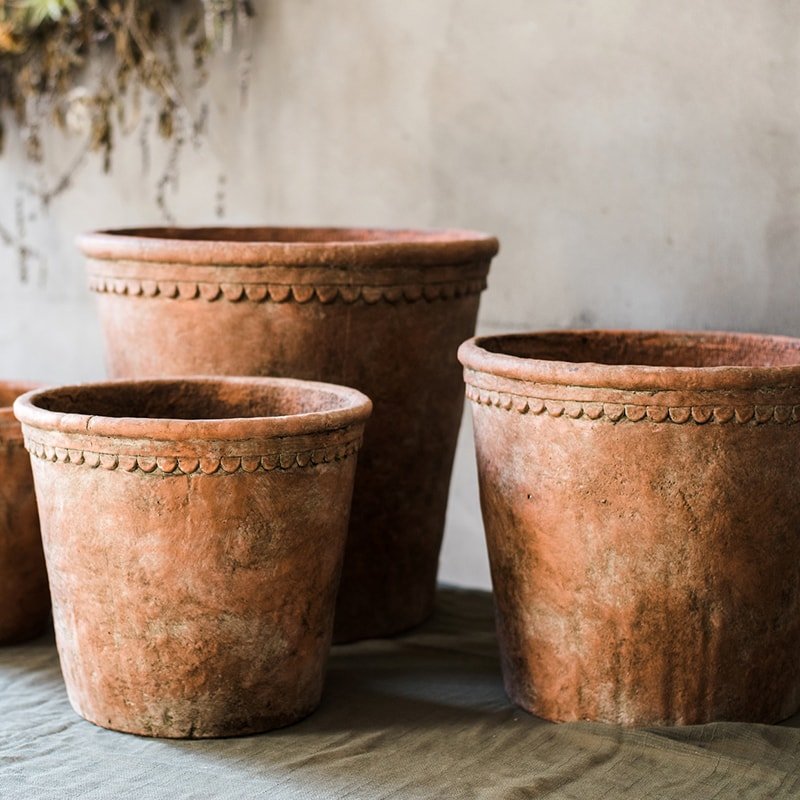 Terracotta & Concrete Planter Pot *Online Only* - Ed's Plant Shop