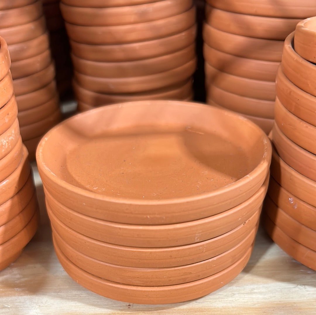 Terracotta Saucer - Various Sizes Available - Ed's Plant Shop