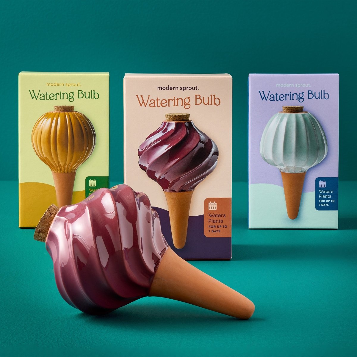 Terracotta Watering Bulbs – Slow - Release Self - Watering for Plants - Ed's Plant Shop