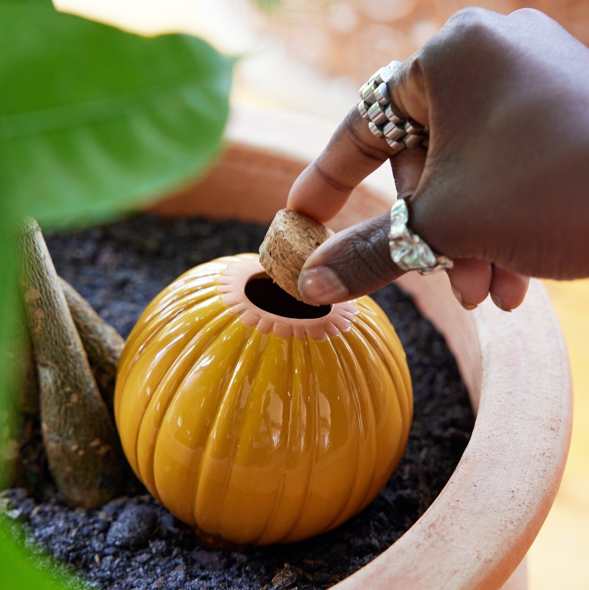Terracotta Watering Bulbs | Slow-Release Plant Hydration – Ed's