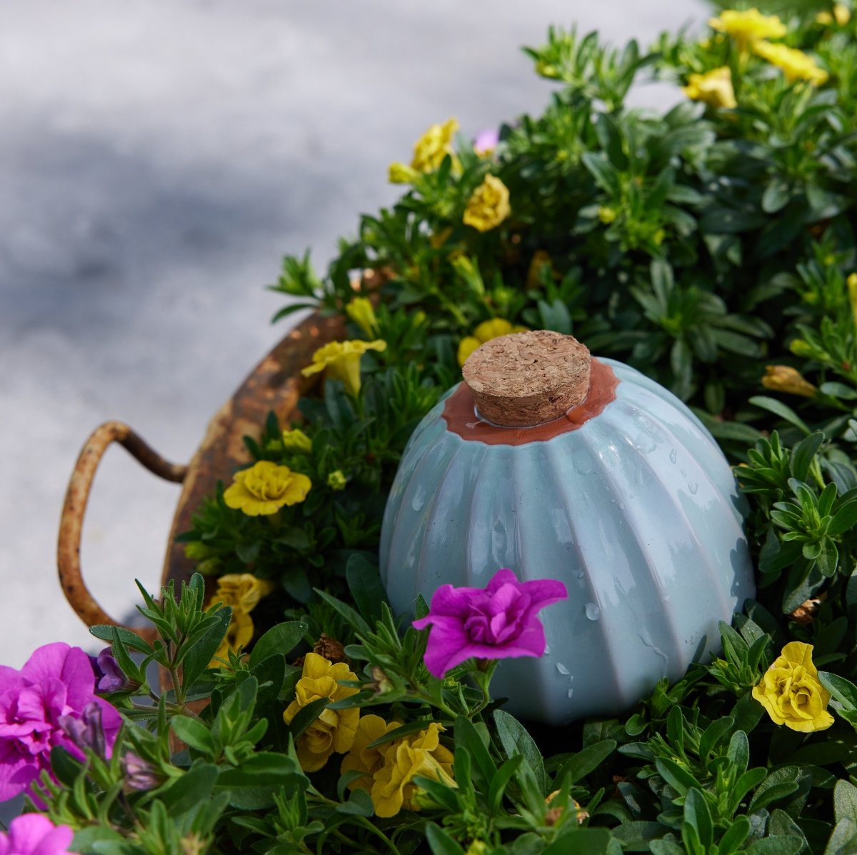 Terracotta Watering Bulbs | Slow-Release Plant Hydration – Ed's