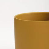 The Ceramic Cylinder Planter, 2nd Generation - Ed's Plant Shop