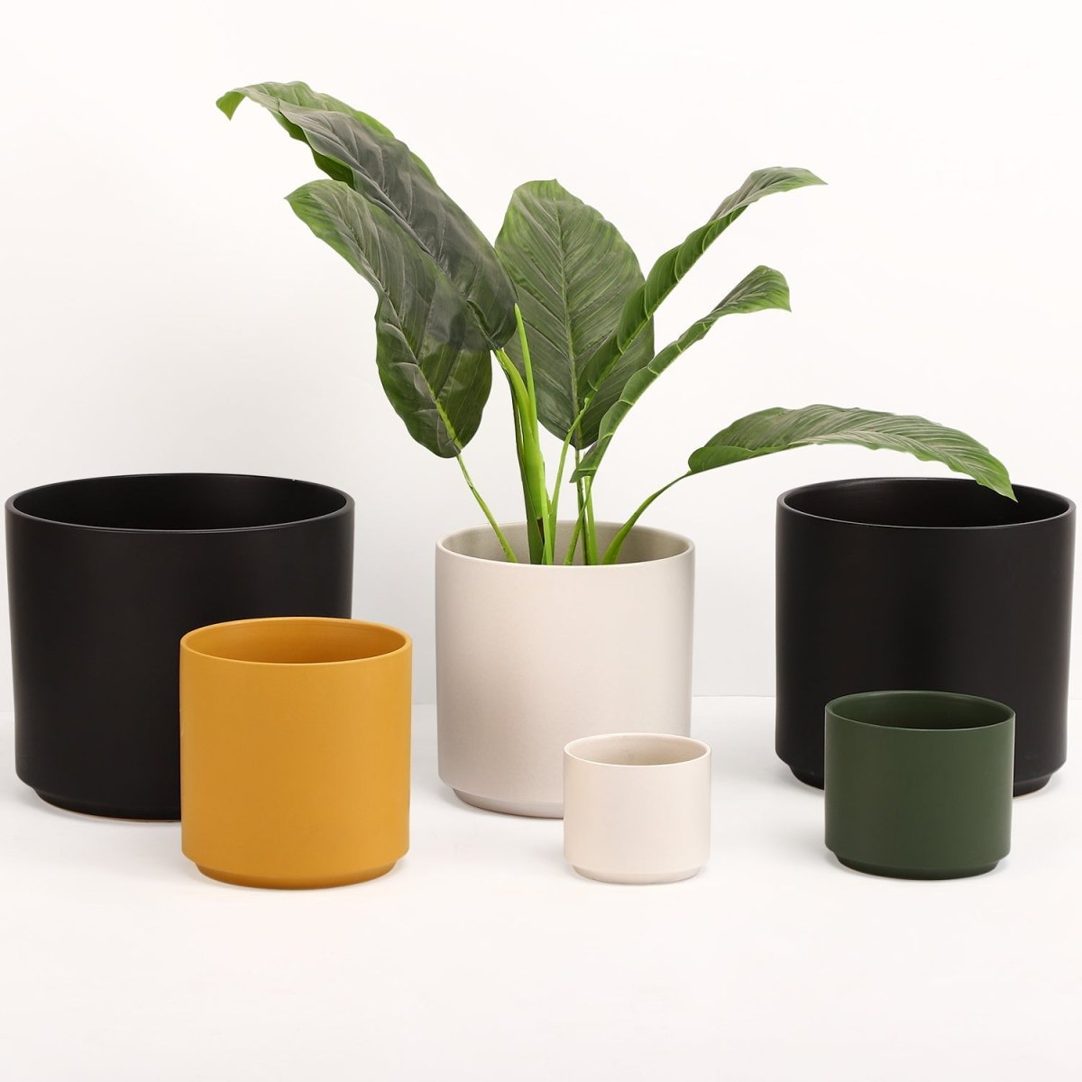 The Ceramic Cylinder Planter, 2nd Generation - Ed's Plant Shop