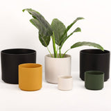 The Ceramic Cylinder Planter, 2nd Generation - Ed's Plant Shop