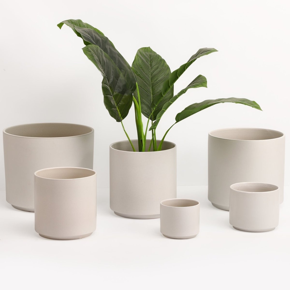 The Ceramic Cylinder Planter, 2nd Generation - Ed's Plant Shop