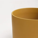 The Ceramic Cylinder Planter, 2nd Generation - Ed's Plant Shop