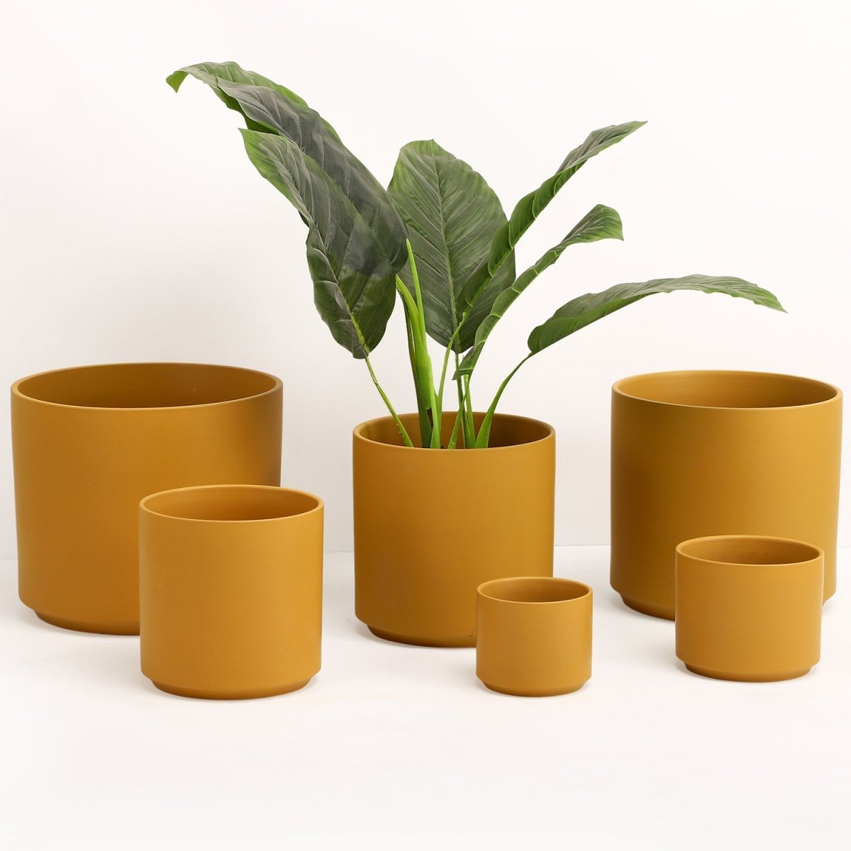 The Ceramic Cylinder Planter, 2nd Generation - Ed's Plant Shop