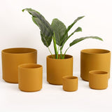 The Ceramic Cylinder Planter, 2nd Generation - Ed's Plant Shop