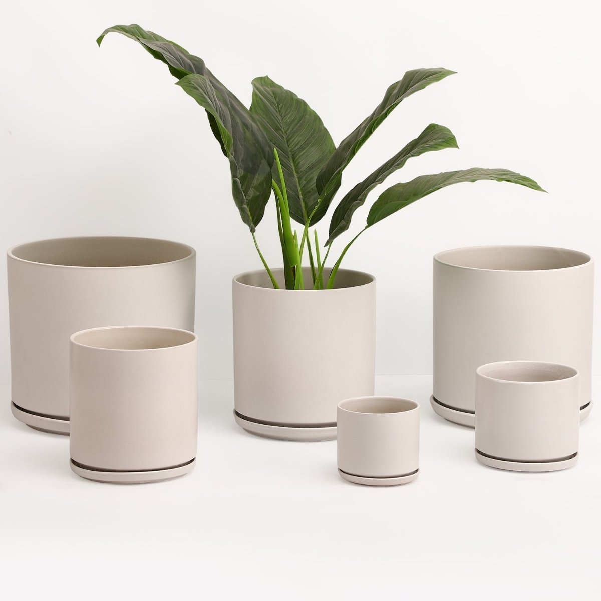 The Ceramic Cylinder Planter with Saucer, 2nd Generation - Ed's Plant Shop