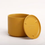 The Ceramic Cylinder Planter with Saucer, 2nd Generation - Ed's Plant Shop