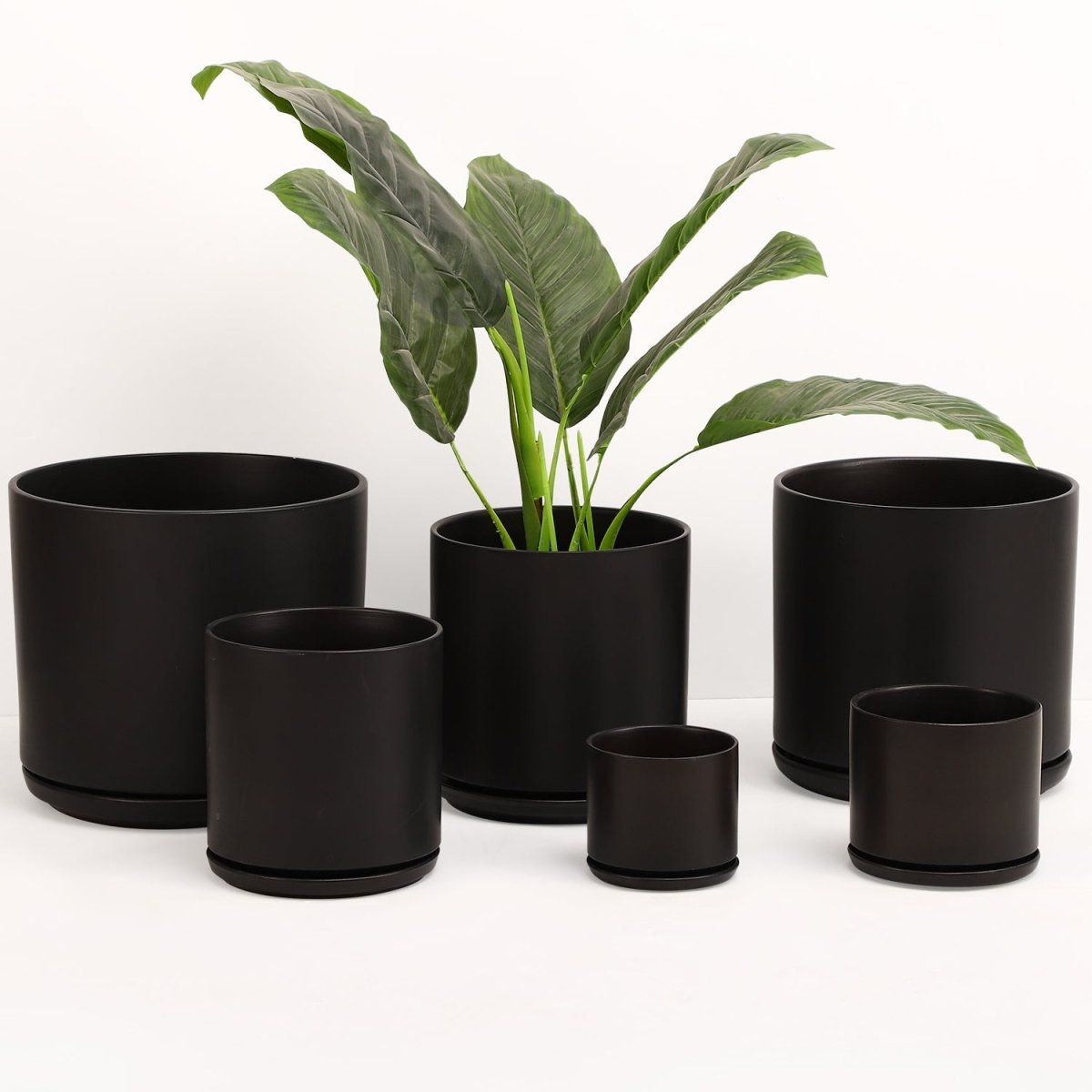 The Ceramic Cylinder Planter with Saucer, 2nd Generation - Ed's Plant Shop