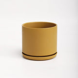 The Ceramic Cylinder Planter with Saucer, 2nd Generation - Ed's Plant Shop