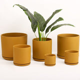 The Ceramic Cylinder Planter with Saucer, 2nd Generation - Ed's Plant Shop