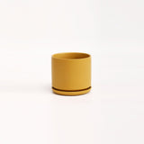 The Ceramic Cylinder Planter with Saucer, 2nd Generation - Ed's Plant Shop