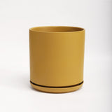 The Ceramic Cylinder Planter with Saucer, 2nd Generation - Ed's Plant Shop