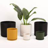 The Ceramic Cylinder Planter with Saucer, 2nd Generation - Ed's Plant Shop