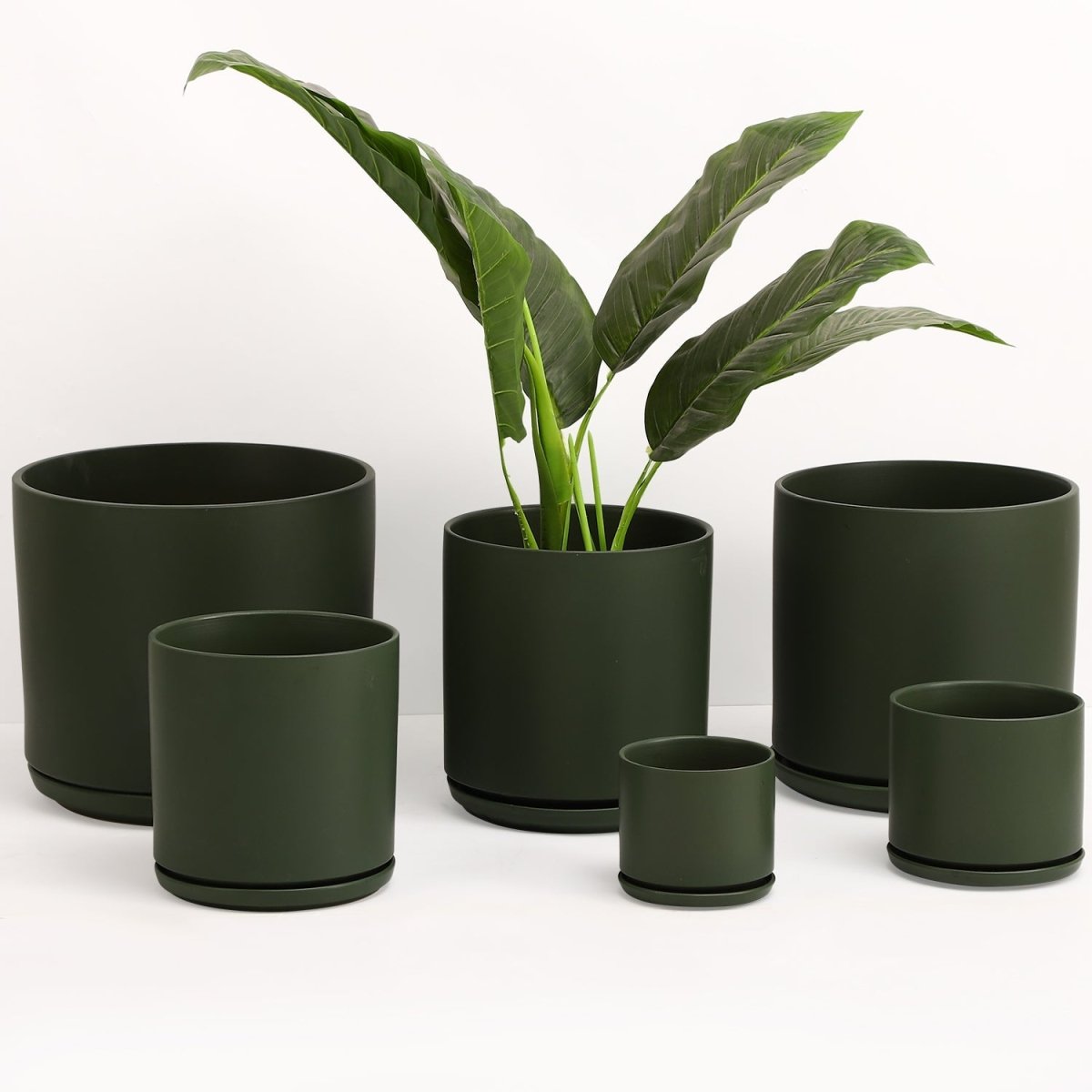 The Ceramic Cylinder Planter with Saucer, 2nd Generation - Ed's Plant Shop