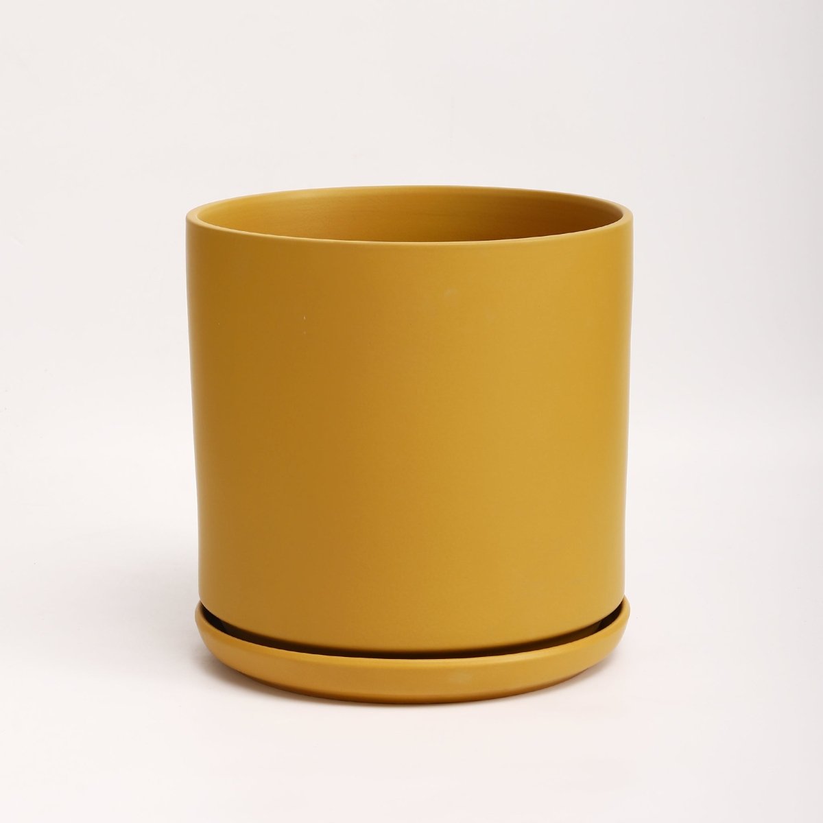 The Ceramic Cylinder Planter with Saucer, 2nd Generation - Ed's Plant Shop