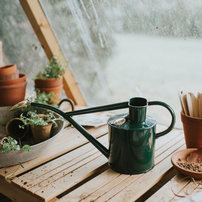 The Classic Haws Watering Can And Spritzer Gift Set - Ed's Plant Shop