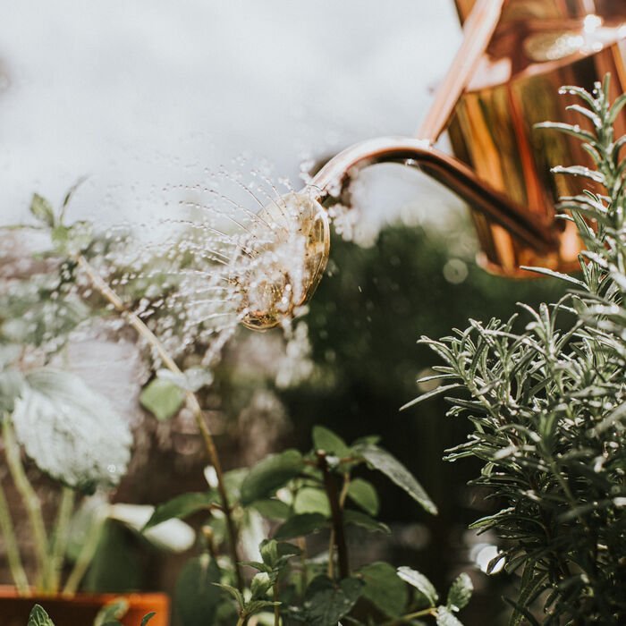 The Classic Haws Watering Can And Spritzer Gift Set - Ed's Plant Shop