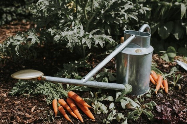 The Warley Fall - Two Gallon HDG in Galvanized - Ed's Plant Shop