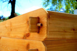 Timberlane Gardens Raised Garden Bed Kit Double Deep (Two 2x3) Select Cedar - Ed's Plant Shop
