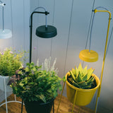 Uplift Planter By Modern Sprout *ONLINE ONLY* - Ed's Plant Shop