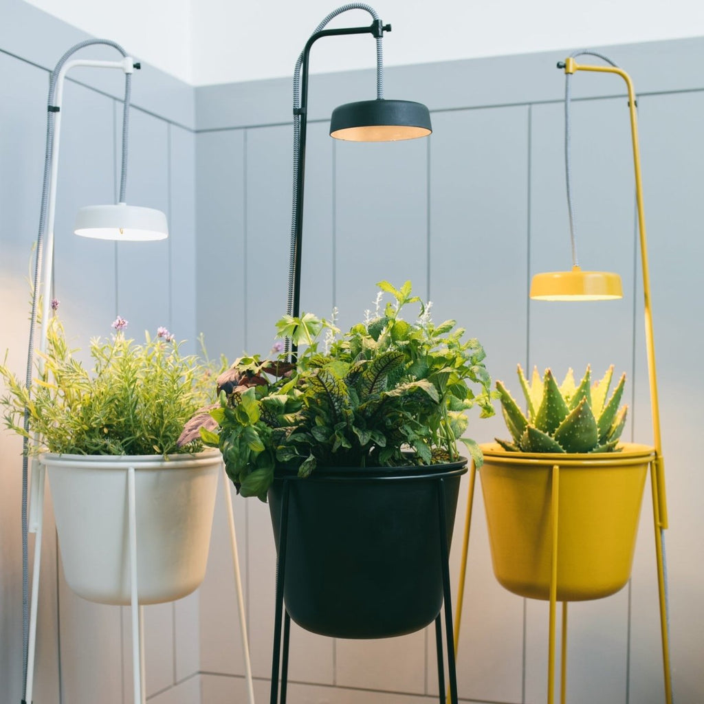Uplift Planter By Modern Sprout *ONLINE ONLY* - Ed's Plant Shop