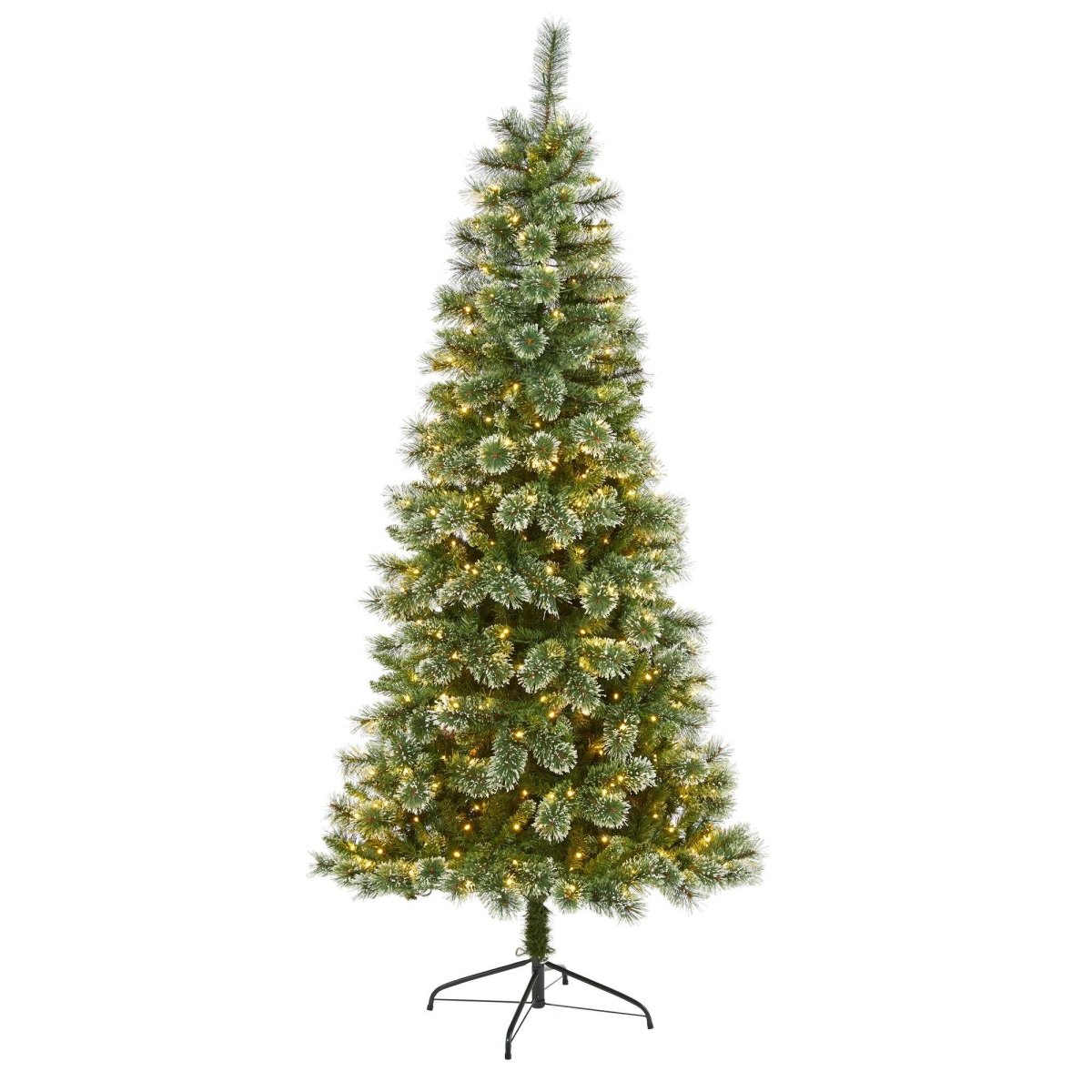 Wisconsin Slim Snow Tip Pine Tree – 7’ Holiday Elegance Made Simple - Ed's Plant Shop