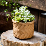 Woven Bamboo Styled Basket - Concrete - Various Sizes - Ed's Plant Shop