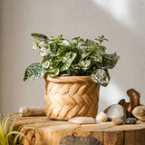 Woven Bamboo Styled Basket - Concrete - Various Sizes - Ed's Plant Shop