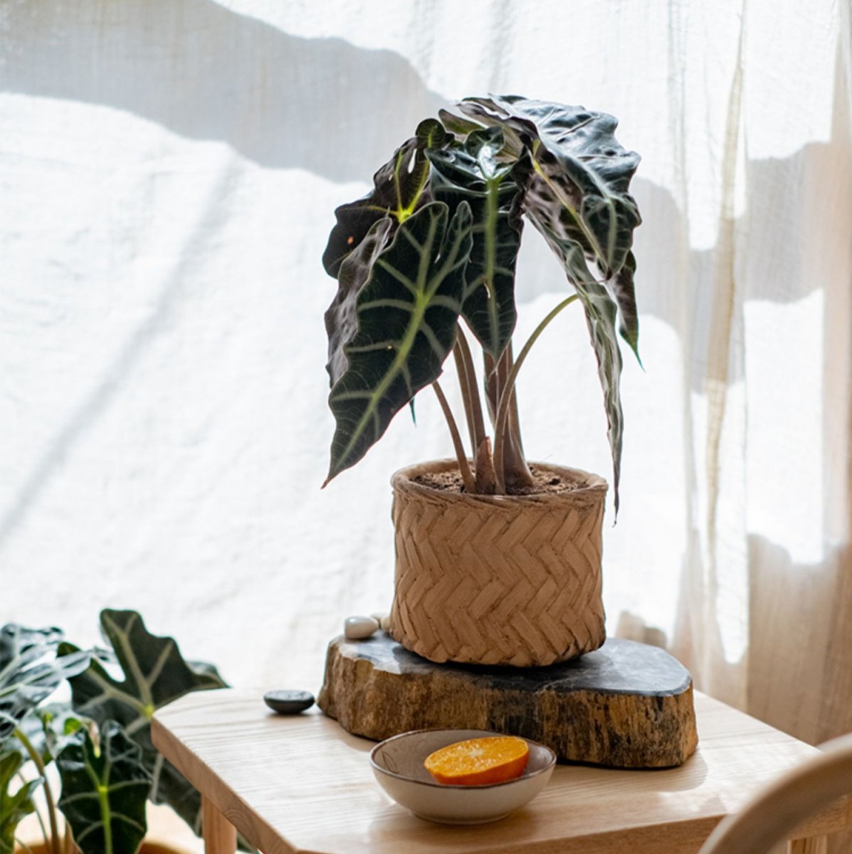 Woven Bamboo Styled Basket - Concrete - Various Sizes - Ed's Plant Shop